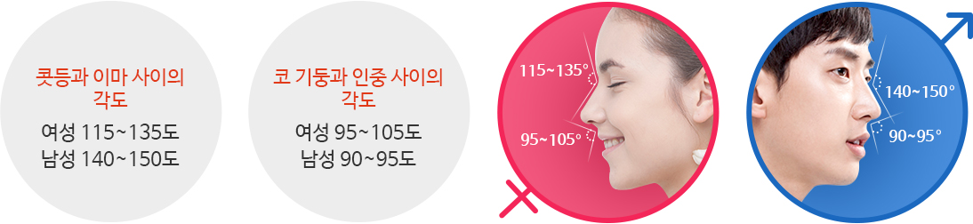 콧등과 이마 사이의 각도 : 여성 115~135도 / 남성 140~150
	코 기둥과 인중 사이의 각도 : 여성 95~105도 / 남성 90~95도