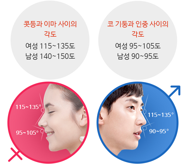 콧등과 이마 사이의 각도 : 여성 115~135도 / 남성 140~150
	코 기둥과 인중 사이의 각도 : 여성 95~105도 / 남성 90~95도