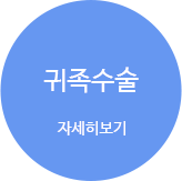 귀족수술