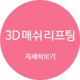 3D 매쉬 리프팅